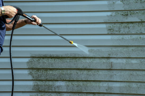 Best Roof Power Washing Services  in Dorr, MI