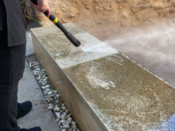 Best Local Pressure Washing Services  in Dorr, MI
