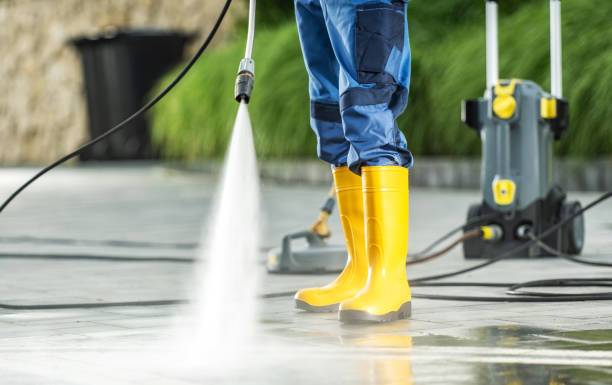Best Pressure Washing Near Me  in Dorr, MI