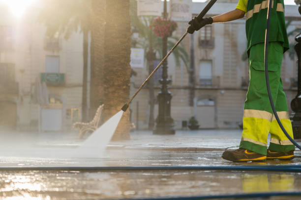 Best Roof Pressure Washing  in Dorr, MI